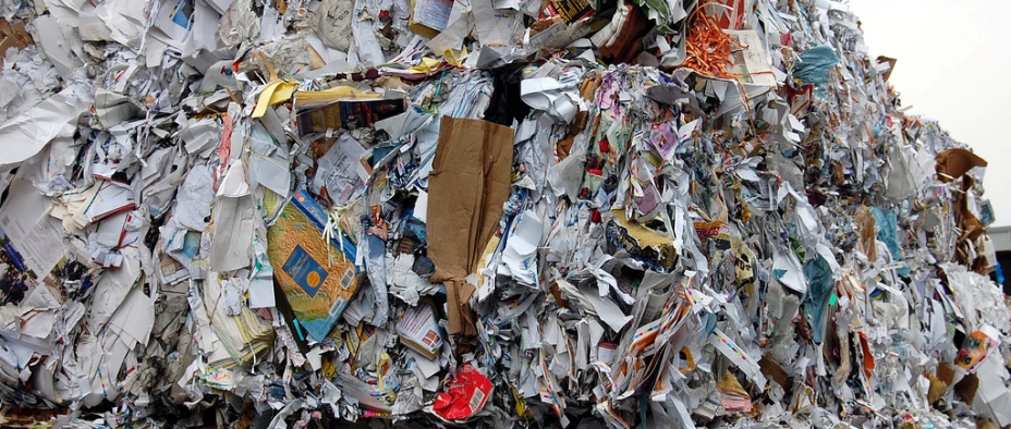 Paper And Carboard Waste