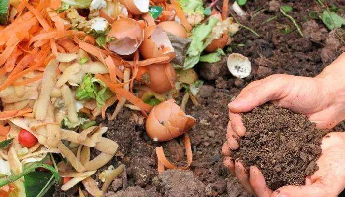 Organic Waste Convert To Fertilizer