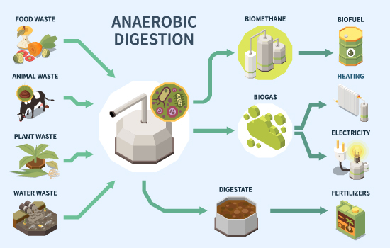 Anaerobic Digestion Process