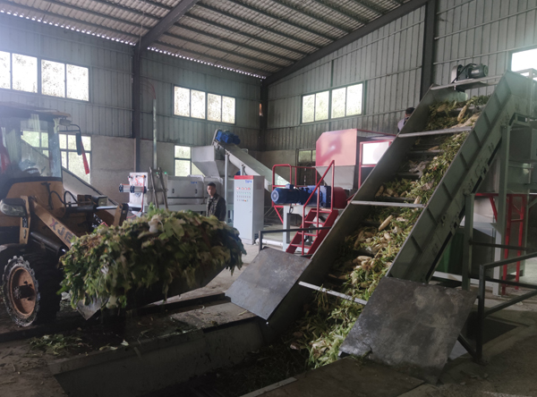 Organic Waste Before Shredding & Dewatering